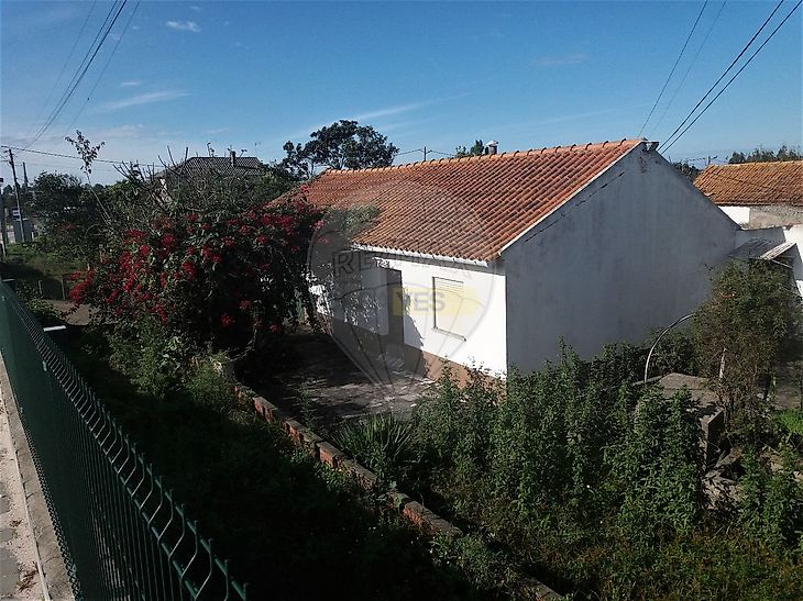 main-listing-picture-0
