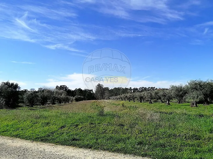 main-listing-picture-0