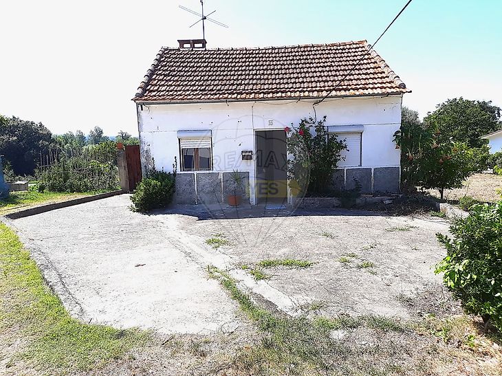 main-listing-picture-0
