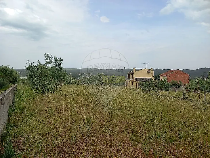 main-listing-picture-0