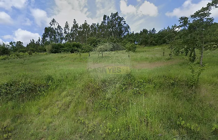 main-listing-picture-0