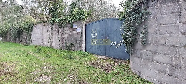main-listing-picture-0