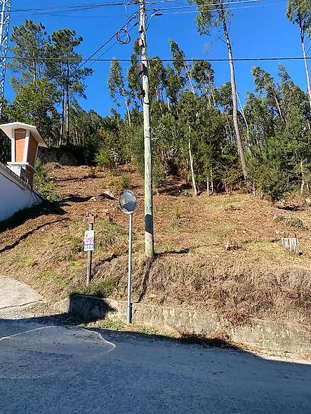 main-listing-picture-0