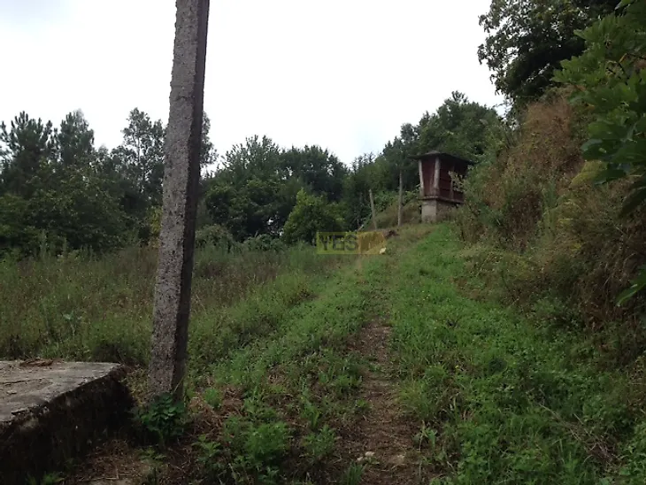 main-listing-picture-0