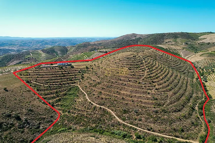 main-listing-picture-0