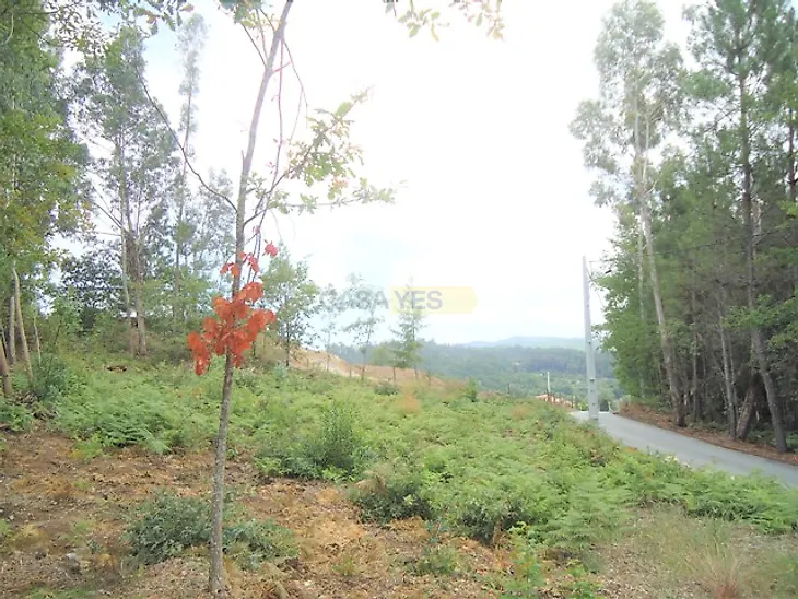 main-listing-picture-0