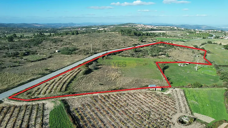 main-listing-picture-0