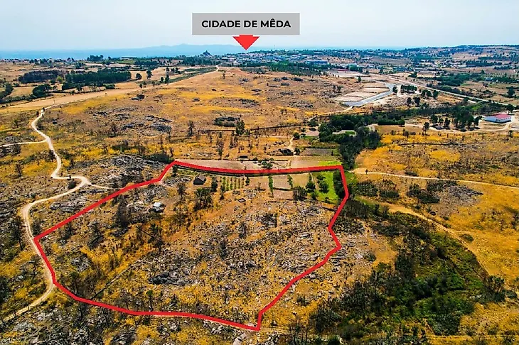 main-listing-picture-0