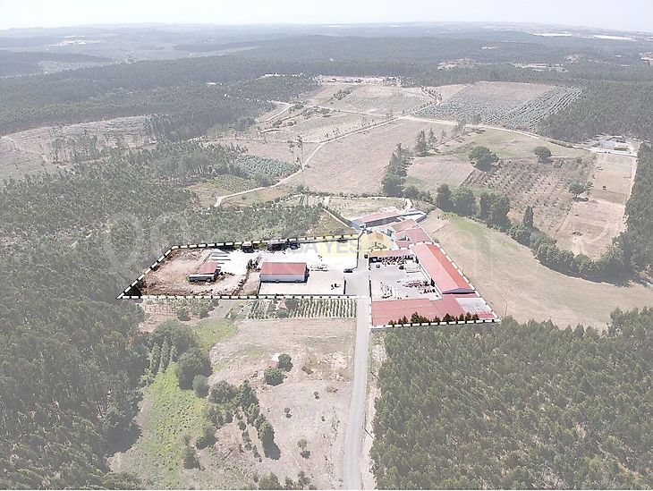 main-listing-picture-0