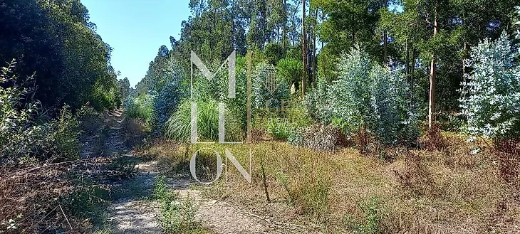 main-listing-picture-0