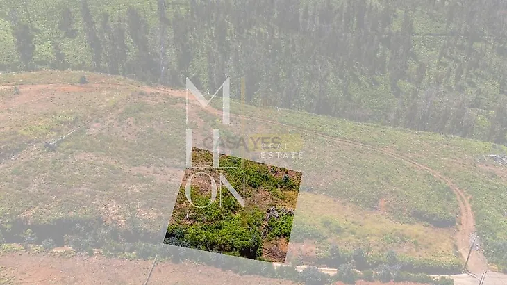 main-listing-picture-0