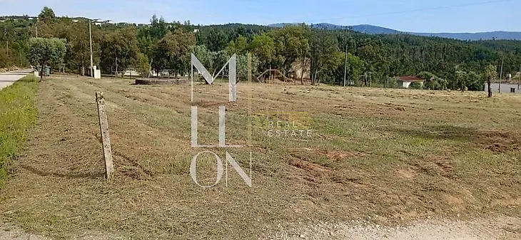 main-listing-picture-0