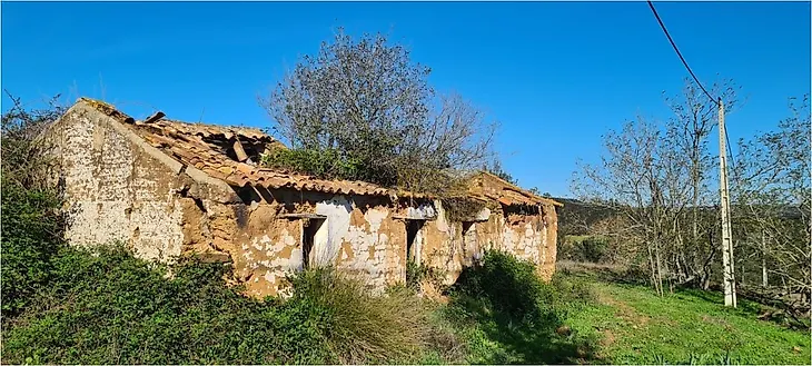 main-listing-picture-0