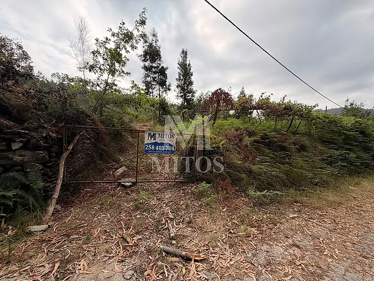 main-listing-picture-0