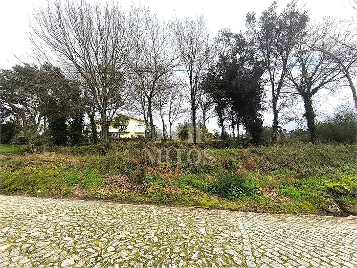 main-listing-picture-0