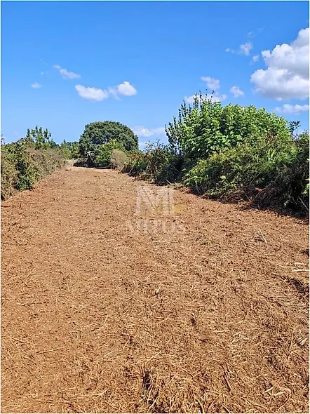 main-listing-picture-0
