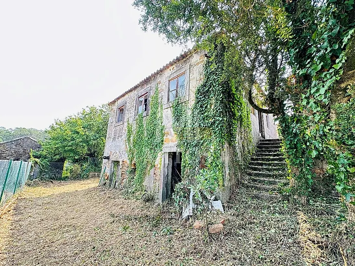 main-listing-picture-0