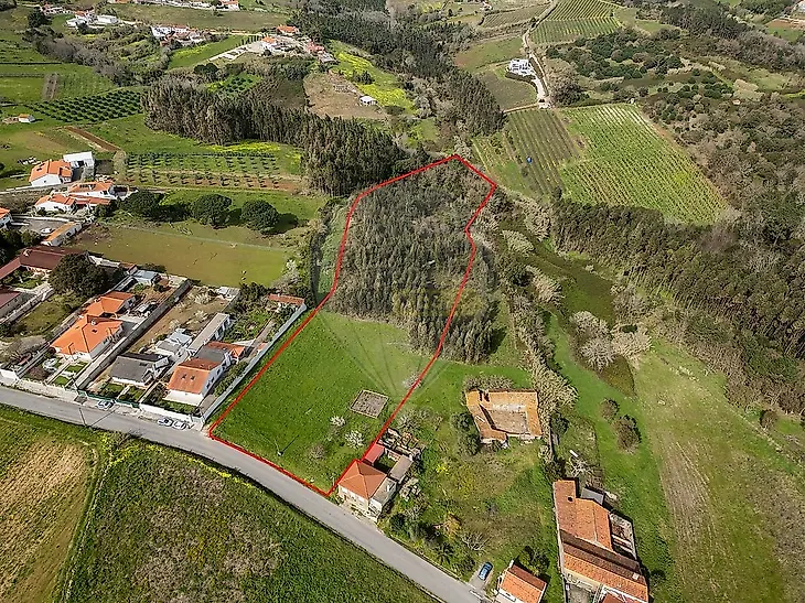main-listing-picture-0