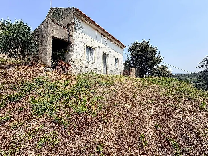 main-listing-picture-0