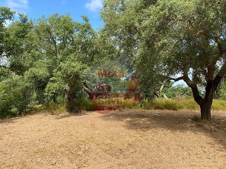 main-listing-picture-0