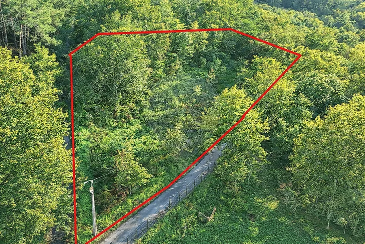 main-listing-picture-0