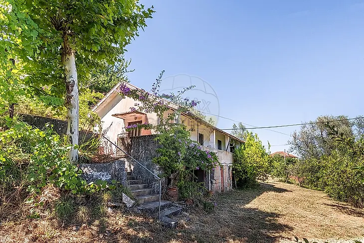 main-listing-picture-0