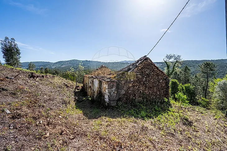 main-listing-picture-0