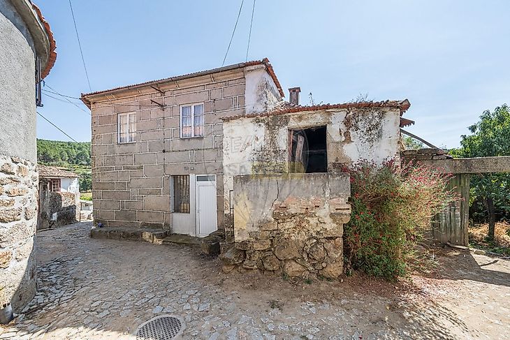 main-listing-picture-0