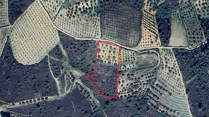 main-listing-picture-0