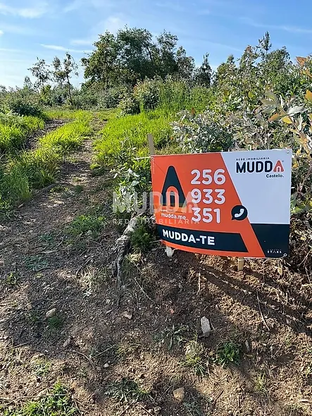 main-listing-picture-0