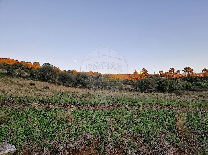 main-listing-picture-0