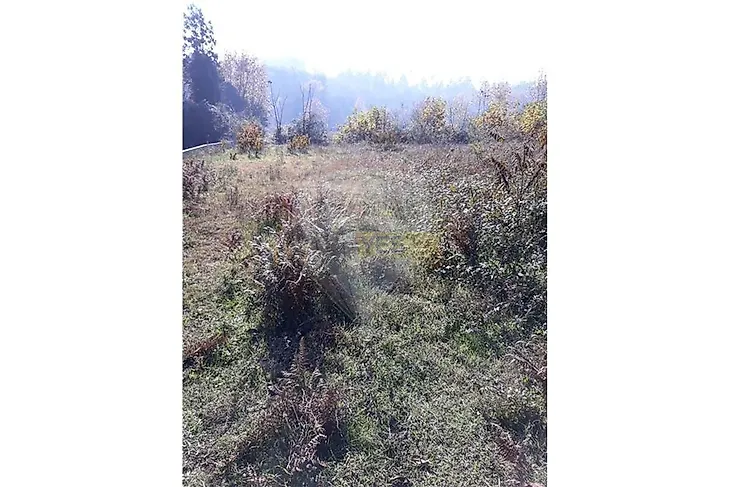 main-listing-picture-0