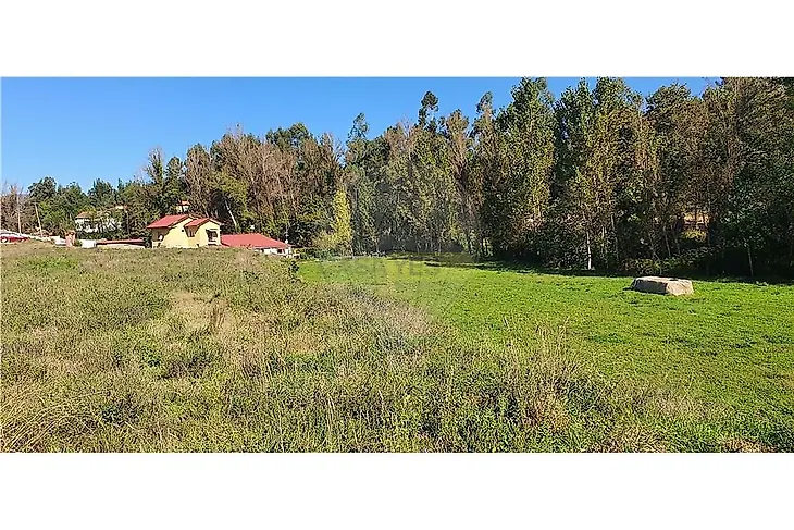 main-listing-picture-0
