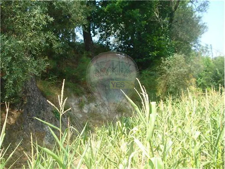 main-listing-picture-0