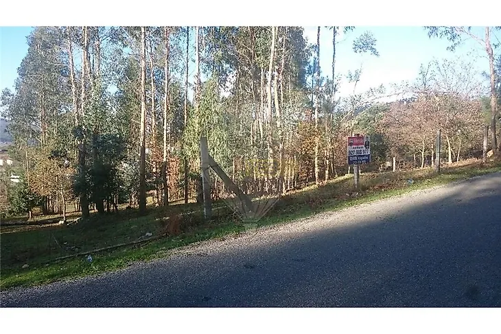 main-listing-picture-0
