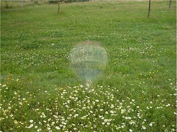 main-listing-picture-0