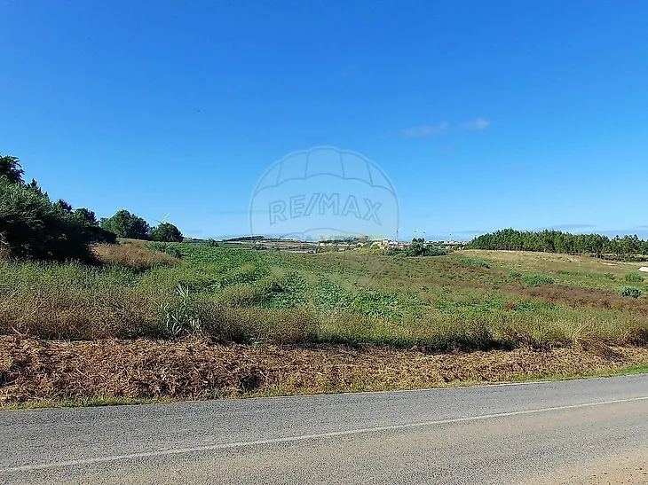 main-listing-picture-0