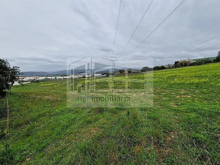 main-listing-picture-0