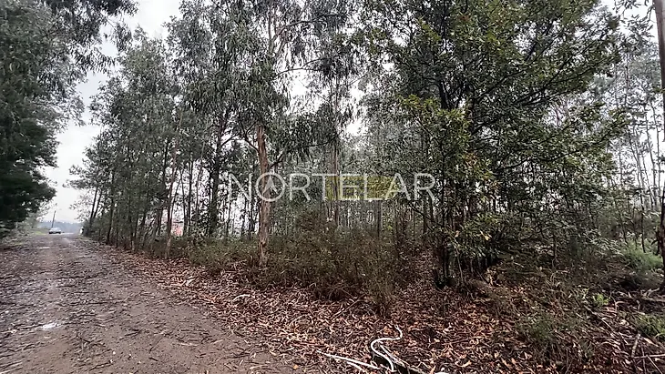 main-listing-picture-0