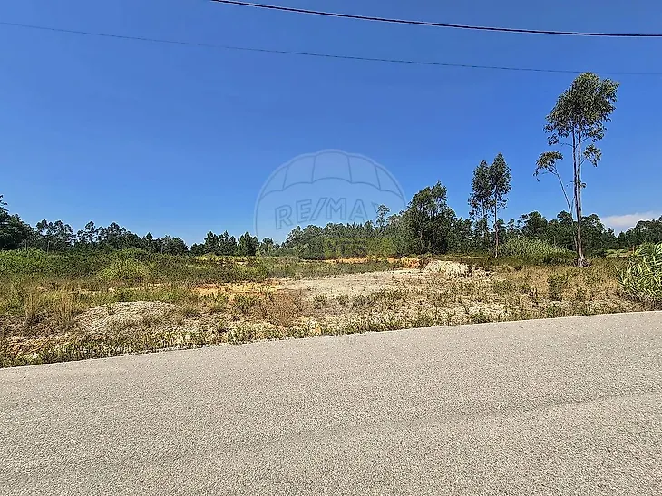 main-listing-picture-0