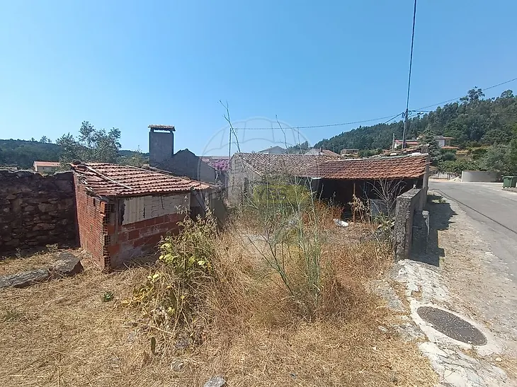 main-listing-picture-0