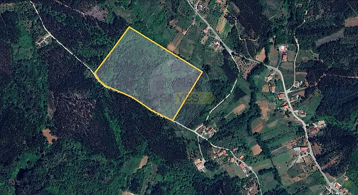 main-listing-picture-0