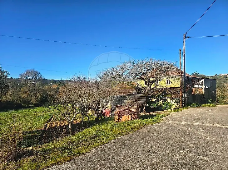 main-listing-picture-0