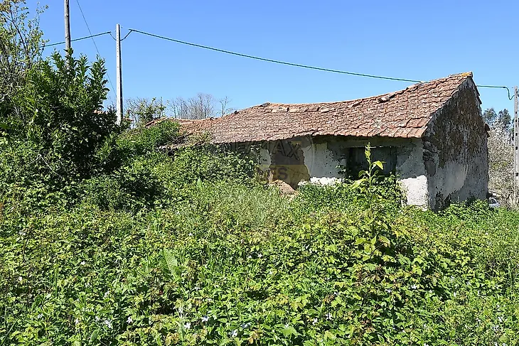 main-listing-picture-0