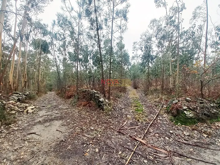 main-listing-picture-0