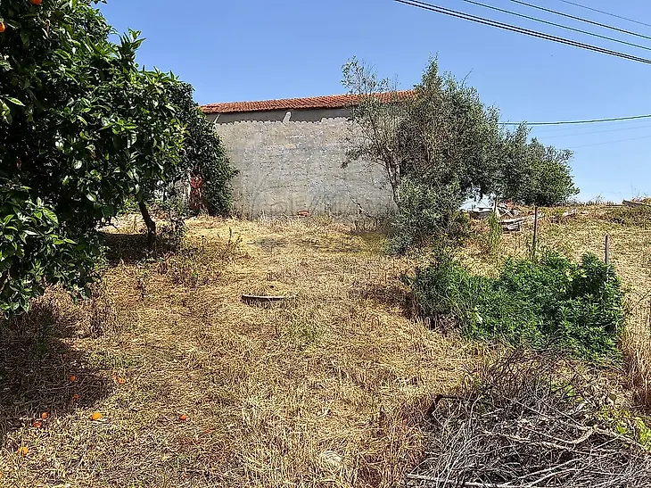main-listing-picture-0