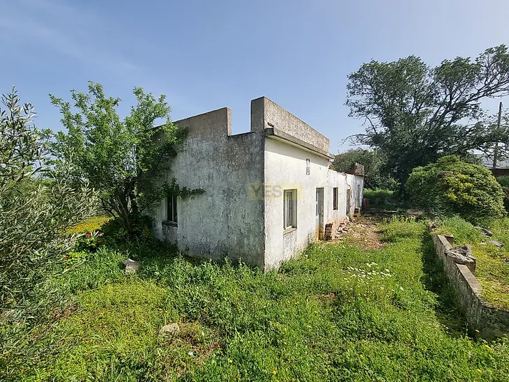 main-listing-picture-0