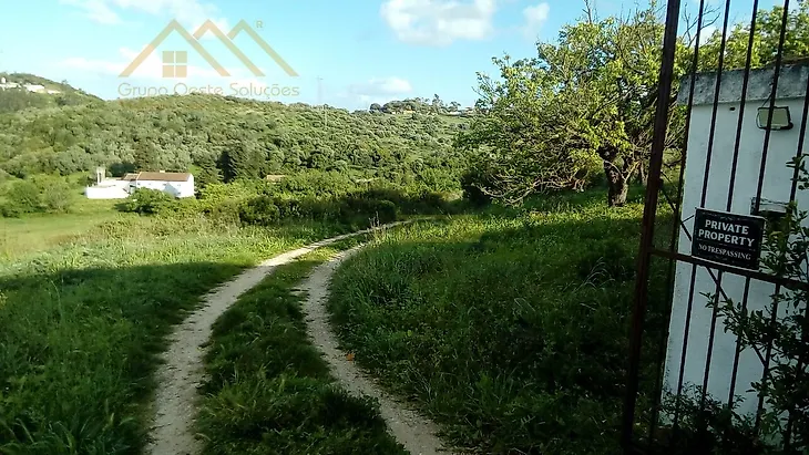main-listing-picture-0