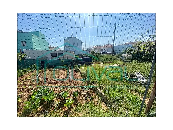 main-listing-picture-0