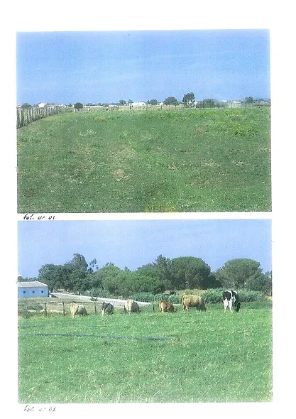 main-listing-picture-0